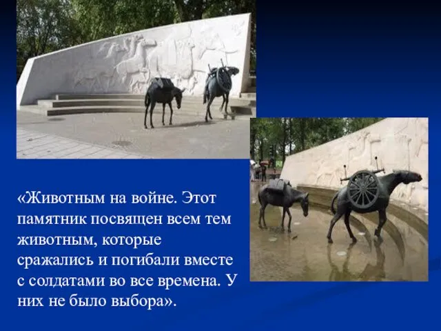 «Животным на войне. Этот памятник посвящен всем тем животным, которые сражались