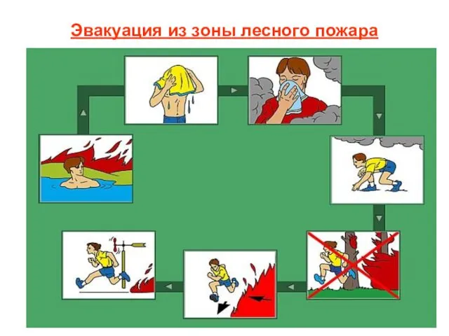 Эвакуация из зоны лесного пожара