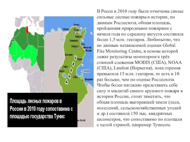 В Росси в 2010 году были отмечены самые сильные лесные пожары