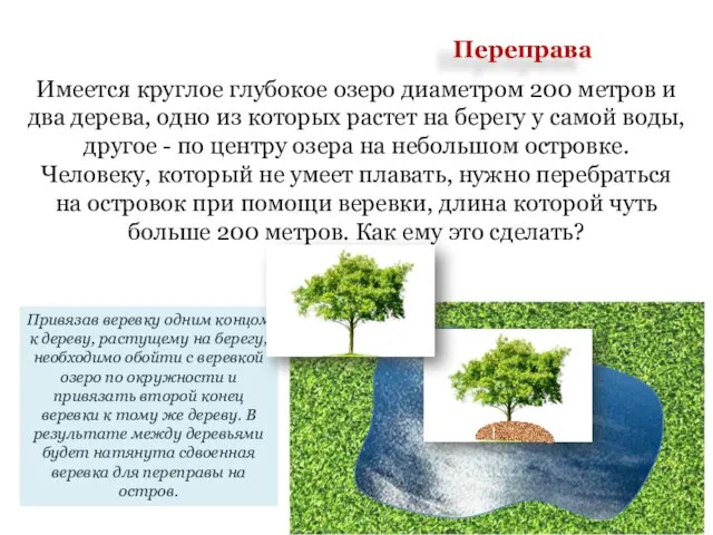 Имеется круглое глубокое озеро диаметром 200 метров и два дерева, одно