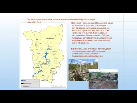 Всего на территории Пермского края выявлено 4 участка массовых ветровалов, площадь
