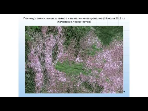 Последствия сильных шквалов и выявление ветровалов (18 июля 2012 г.) (Кочевское лесничество) 7
