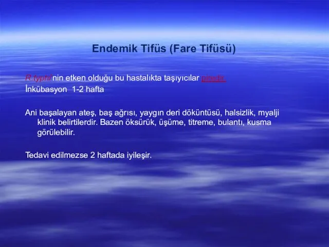 Endemik Tifüs (Fare Tifüsü) R.typhi’nin etken olduğu bu hastalıkta taşıyıcılar piredir.