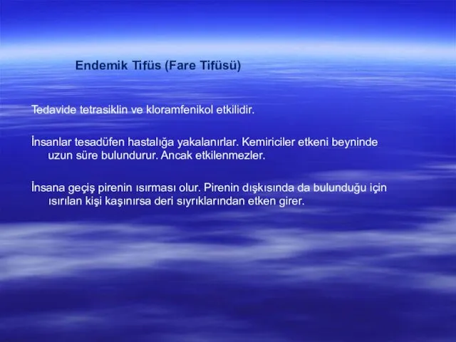 Endemik Tifüs (Fare Tifüsü) Tedavide tetrasiklin ve kloramfenikol etkilidir. İnsanlar tesadüfen