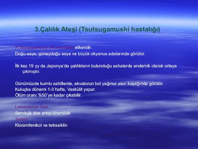 3.Çalılık Ateşi (Tsutsugamushi hastalığı) R.tsutsugamushi (R.orientalis) etkendir. Doğu asya, güneydoğu asya