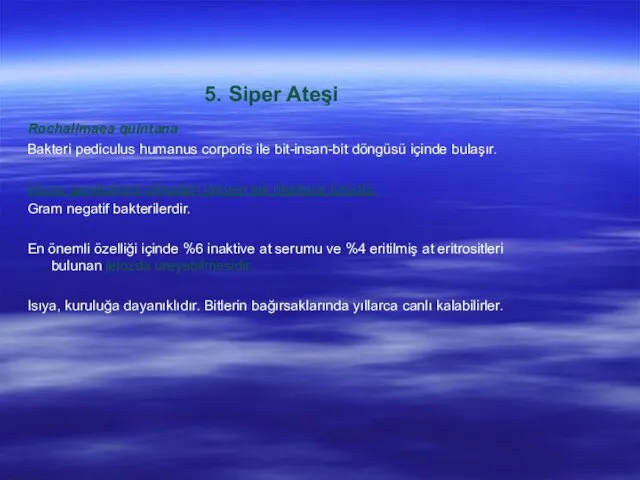 5. Siper Ateşi Rochalimaea quintana Bakteri pediculus humanus corporis ile bit-insan-bit