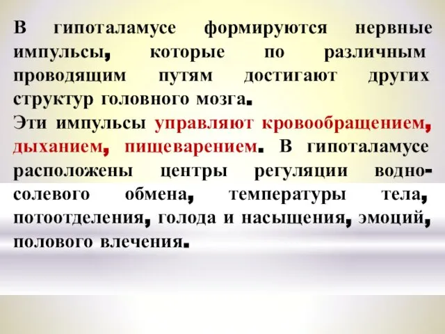 В гипоталамусе формируются нервные импульсы, которые по различным проводящим путям достигают