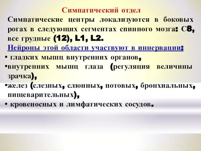 Симпатический отдел Симпатические центры локализуются в боковых рогах в следующих сегментах