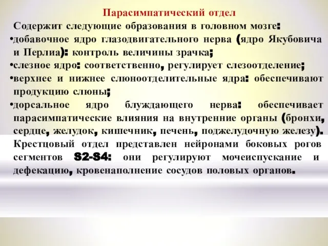 Парасимпатический отдел Содержит следующие образования в головном мозге: добавочное ядро глазодвигательного