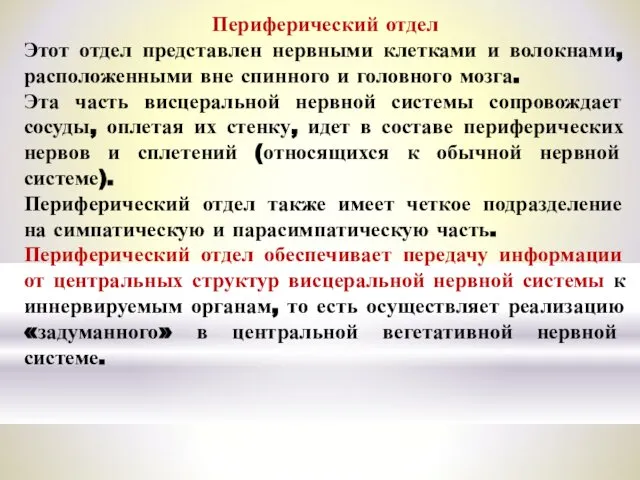 Периферический отдел Этот отдел представлен нервными клетками и волокнами, расположенными вне