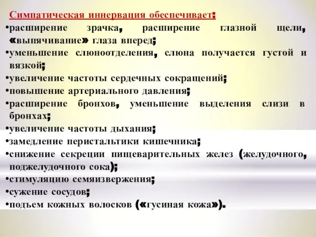 Симпатическая иннервация обеспечивает: расширение зрачка, расширение глазной щели, «выпячивание» глаза вперед;