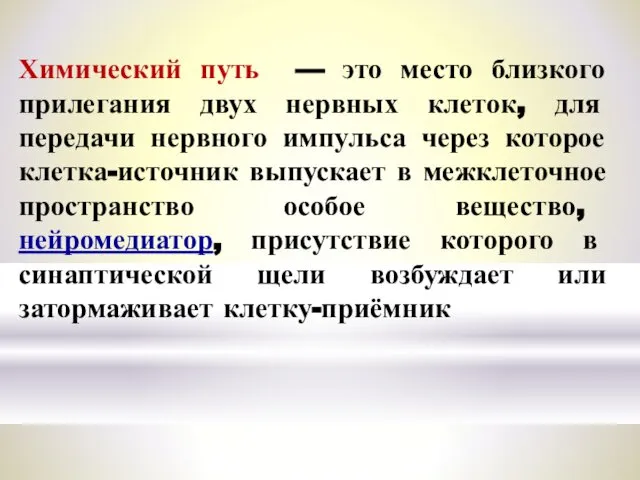 Химический путь — это место близкого прилегания двух нервных клеток, для