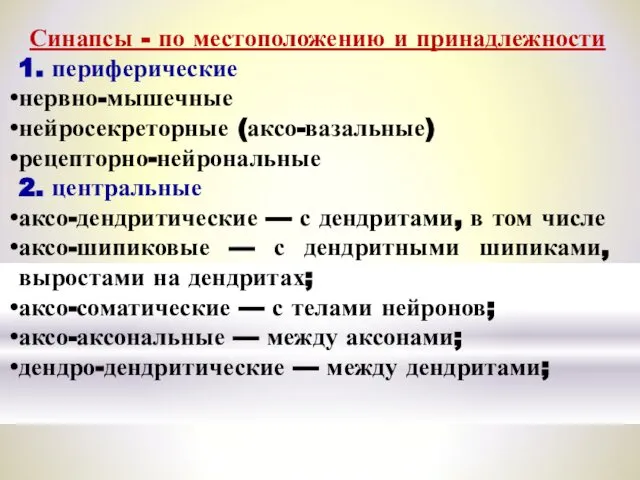 Синапсы - по местоположению и принадлежности 1. периферические нервно-мышечные нейросекреторные (аксо-вазальные)