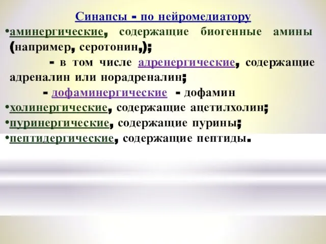 Синапсы - по нейромедиатору аминергические, содержащие биогенные амины (например, серотонин,); -