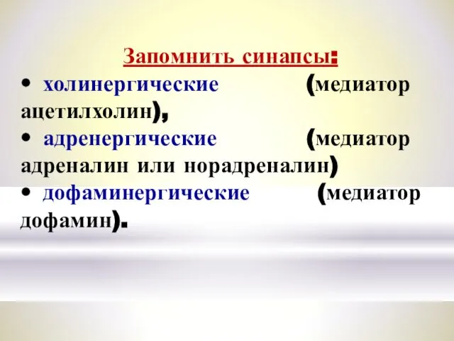 Запомнить синапсы: • холинергические (медиатор ацетилхолин), • адренергические (медиатор адреналин или норадреналин) • дофаминергические (медиатор дофамин).