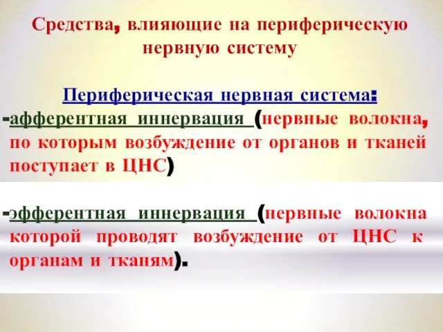 Средства, влияющие на периферическую нервную систему Периферическая нервная система: афферентная иннервация