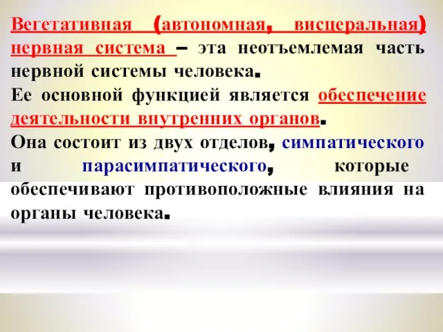 Вегетативная (автономная, висцеральная) нервная система – эта неотъемлемая часть нервной системы