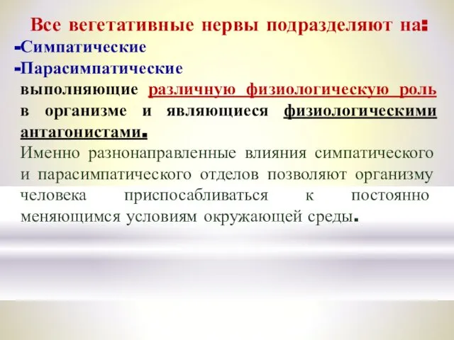 Все вегетативные нервы подразделяют на: Симпатические Парасимпатические выполняющие различную физиологическую роль