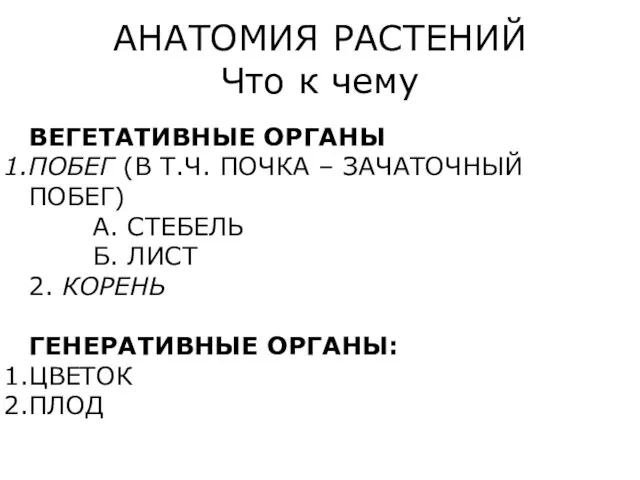 АНАТОМИЯ РАСТЕНИЙ Что к чему ВЕГЕТАТИВНЫЕ ОРГАНЫ ПОБЕГ (В Т.Ч. ПОЧКА