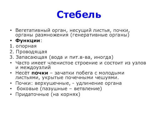 Стебель Вегетативный орган, несущий листья, почки, органы размножения (генеративные органы) Функции: