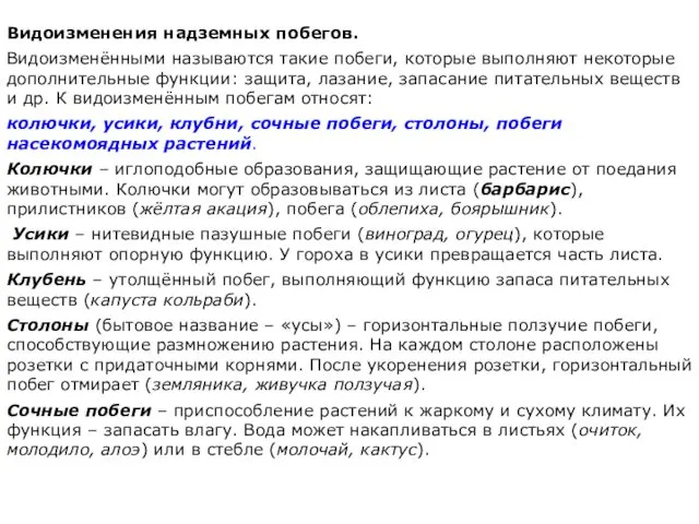 Видоизменения надземных побегов. Видоизменёнными называются такие побеги, которые выполняют некоторые дополнительные