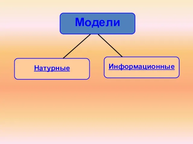 Модели Натурные Информационные