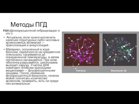 Методы ПГД FISH (флюоресцентной гибридизации in situ ): Актуальна, если нужно