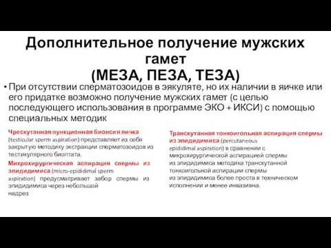 Дополнительное получение мужских гамет (МЕЗА, ПЕЗА, ТЕЗА) При отсутствии сперматозоидов в