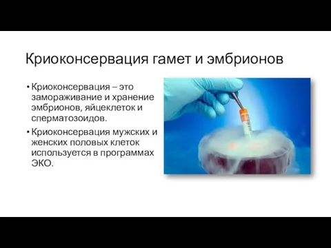 Криоконсервация гамет и эмбрионов Криоконсервация – это замораживание и хранение эмбрионов,