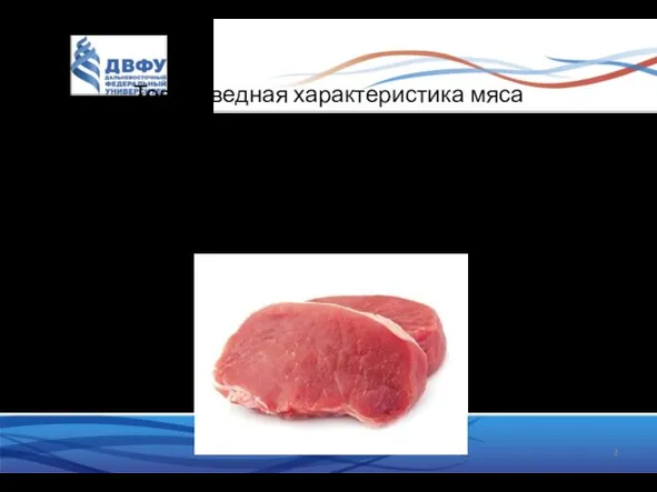 Товароведная характеристика мяса Мясо - пищевой продукт, полученный после убоя скота