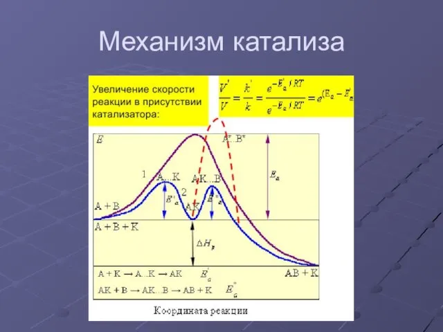 Механизм катализа