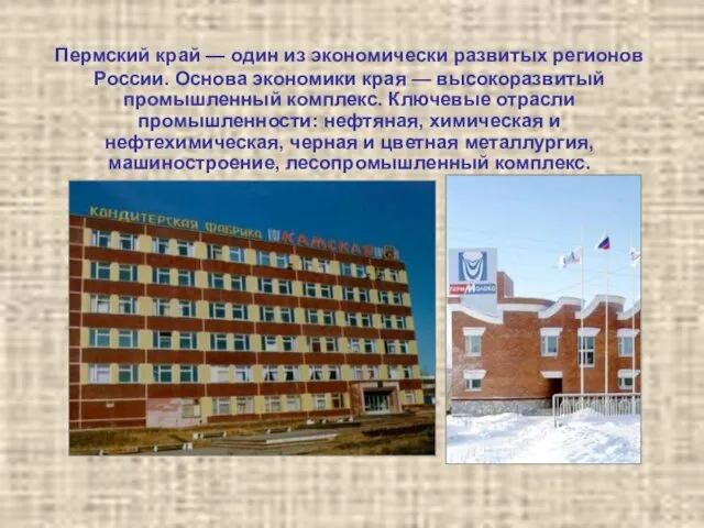 Пермский край — один из экономически развитых регионов России. Основа экономики