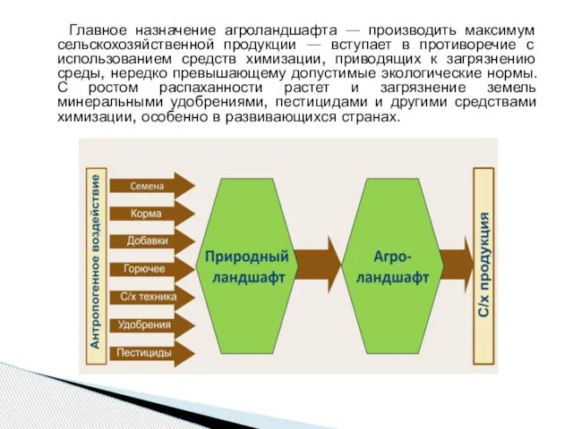 Главное назначение агроландшафта — производить максимум сельскохозяйственной продукции — вступает в