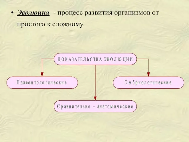 Эволюция - процесс развития организмов от простого к сложному.