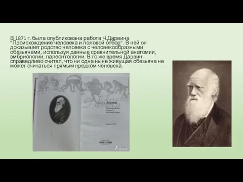 В 1871 г. была опубликована работа Ч.Дарвина "Происхождение человека и половой