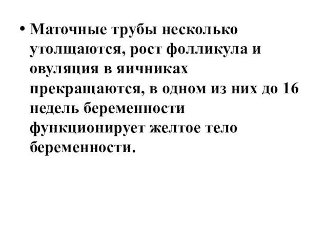 Маточные трубы несколько утолщаются, рост фолликула и овуляция в яичниках прекращаются,