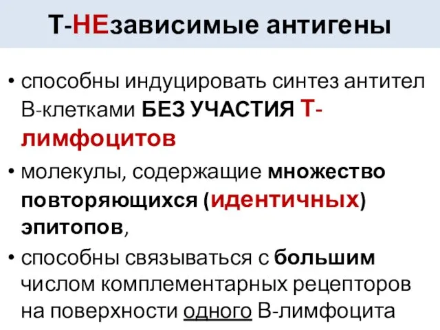 Т-НЕзависимые антигены способны индуцировать синтез антител В-клетками БЕЗ УЧАСТИЯ Т-лимфоцитов молекулы,