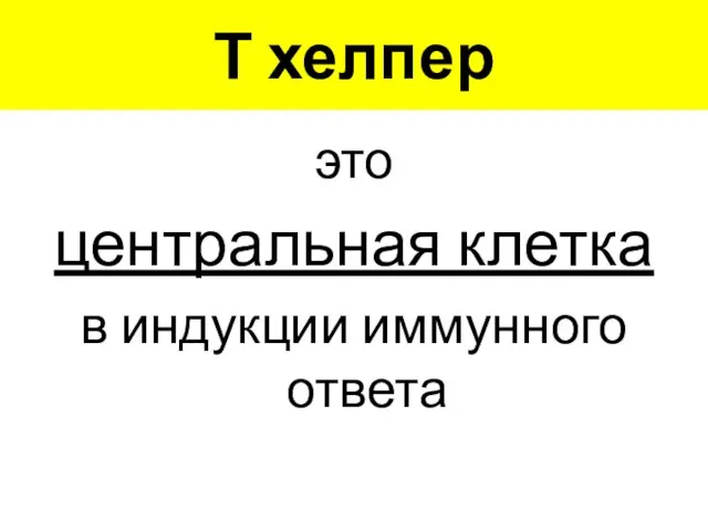 Т хелпер это центральная клетка в индукции иммунного ответа