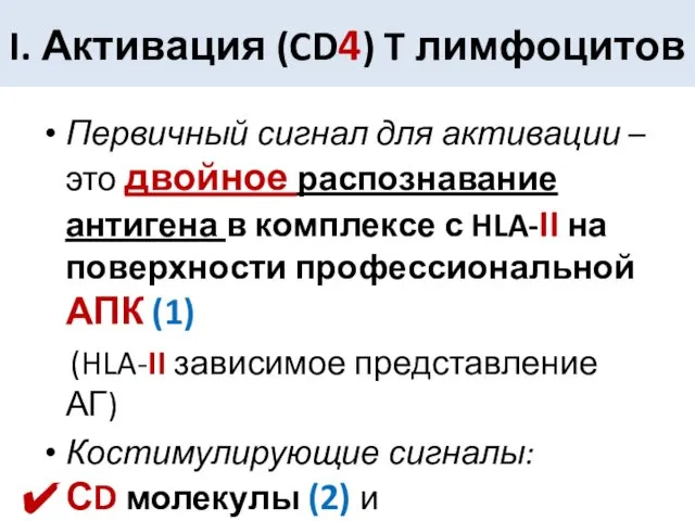 I. Активация (CD4) T лимфоцитов Первичный сигнал для активации – это