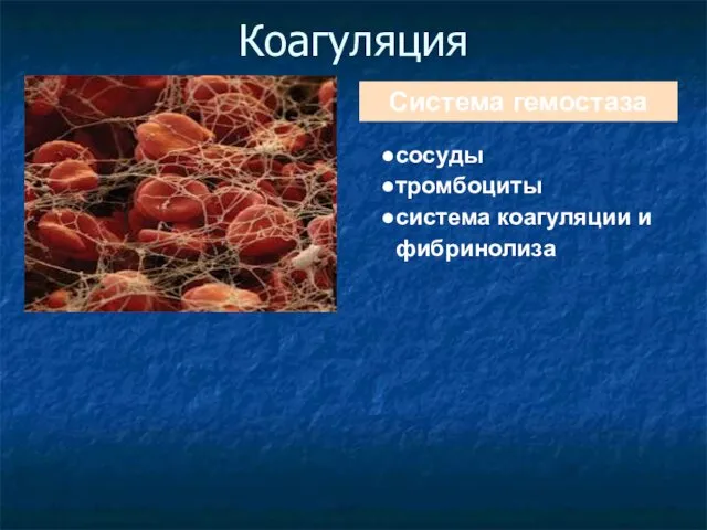 Коагуляция Система гемостаза сосуды тромбоциты система коагуляции и фибринолиза