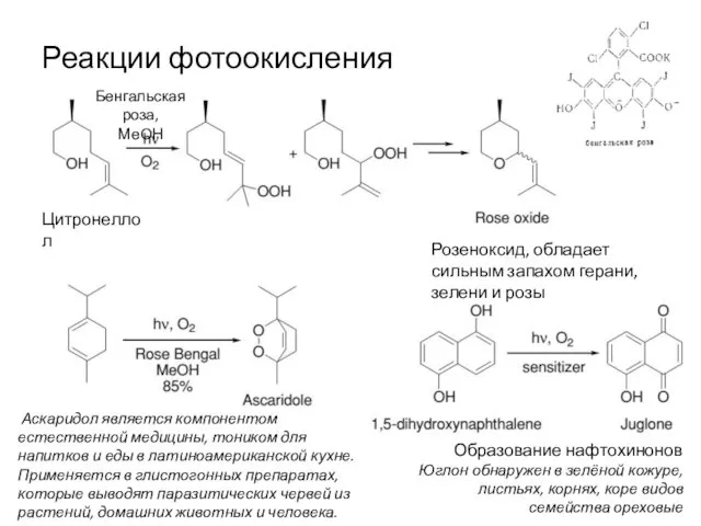 Реакции фотоокисления Розеноксид, обладает сильным запахом герани, зелени и розы Цитронеллол