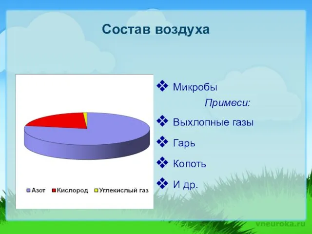 Состав воздуха Микробы Примеси: Выхлопные газы Гарь Копоть И др.