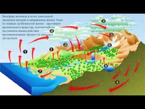 Биосфера возникла в итоге длительной эволюции материи в направлении жизни. Одна
