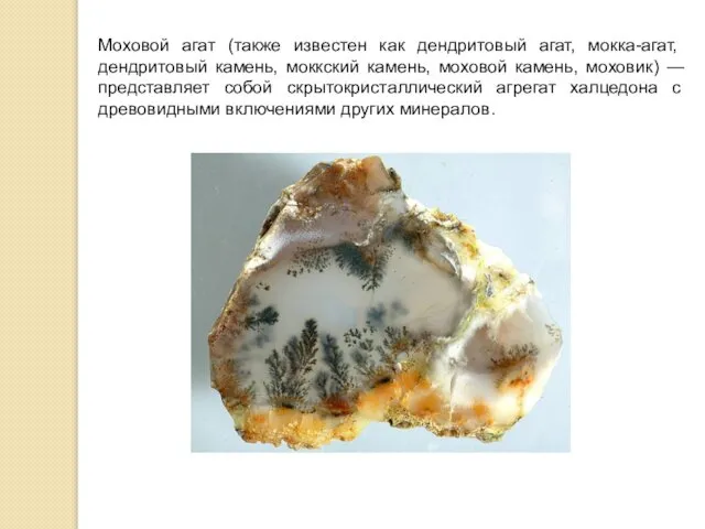 Моховой агат (также известен как дендритовый агат, мокка-агат, дендритовый камень, моккский