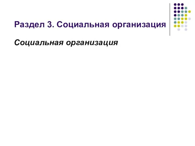 Раздел 3. Социальная организация Социальная организация