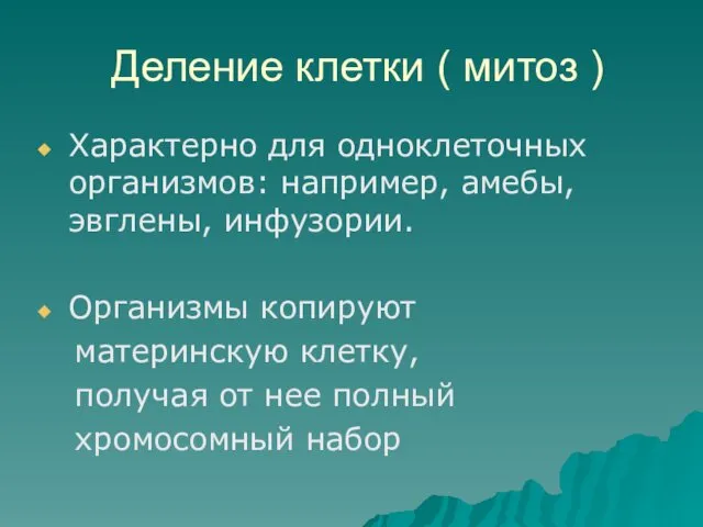 Деление клетки ( митоз ) Характерно для одноклеточных организмов: например, амебы,