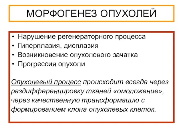 МОРФОГЕНЕЗ ОПУХОЛЕЙ Нарушение регенераторного процесса Гиперплазия, дисплазия Возникновение опухолевого зачатка Прогрессия