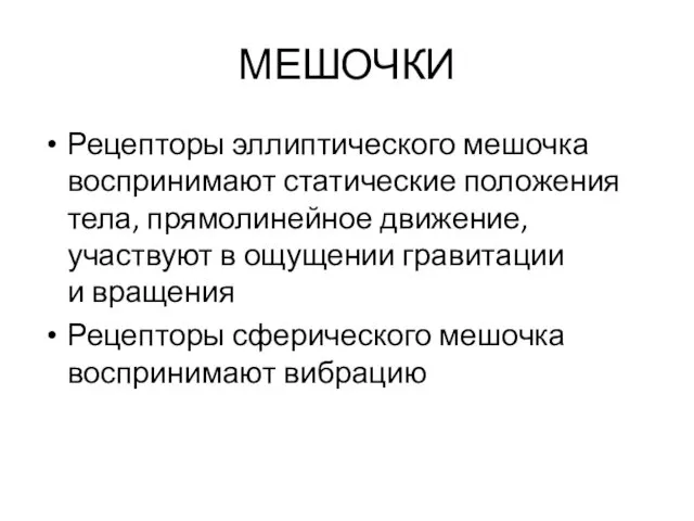 МЕШОЧКИ Рецепторы эллиптического мешочка воспринимают статические положения тела, прямолинейное движение, участвуют