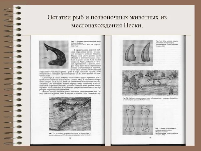 Остатки рыб и позвоночных животных из местонахождения Пески.