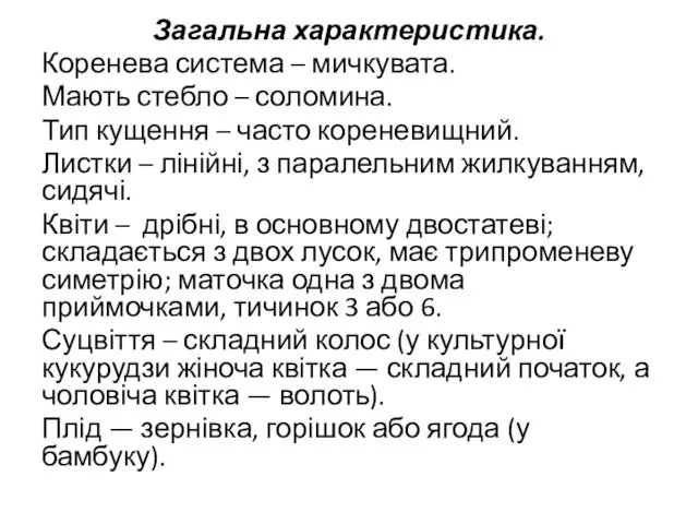 Загальна характеристика. Коренева система – мичкувата. Мають стебло – соломина. Тип